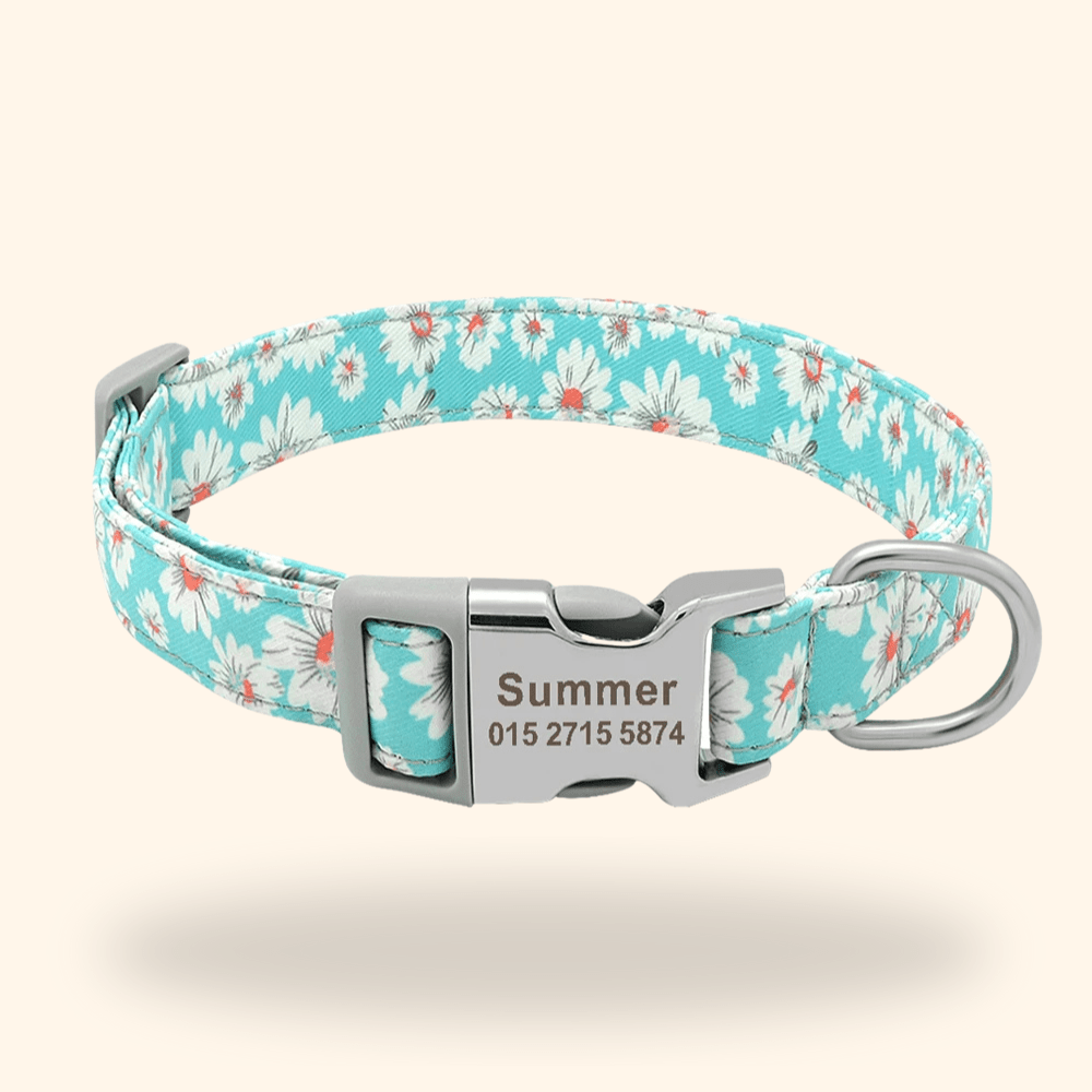 Hundehalsband mit Gravur - Viamilo