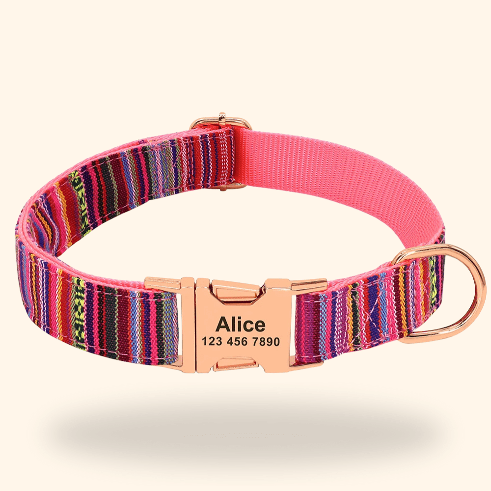 Hundehalsband mit Gravur - Viamilo