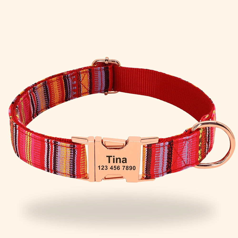Hundehalsband mit Gravur - Viamilo