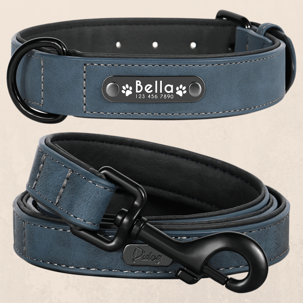 Leder Hundehalsband mit Gravur - Viamilo