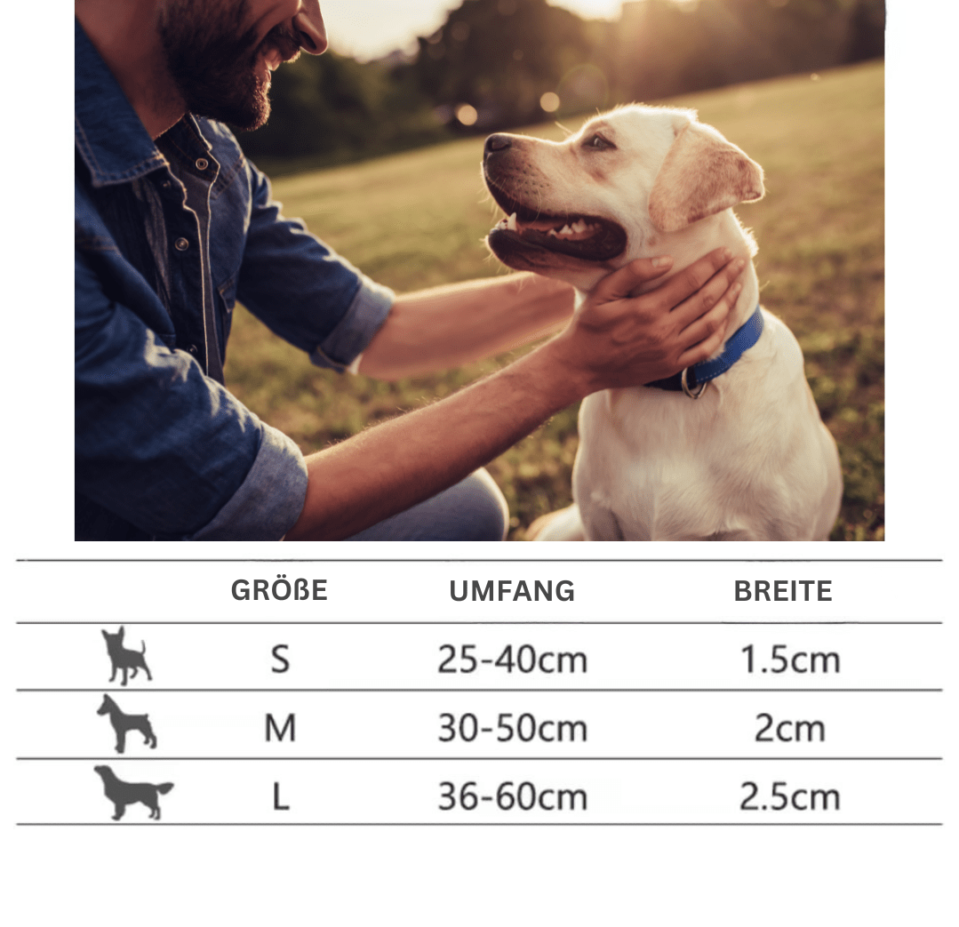Hundehalsband mit Gravur - Viamilo
