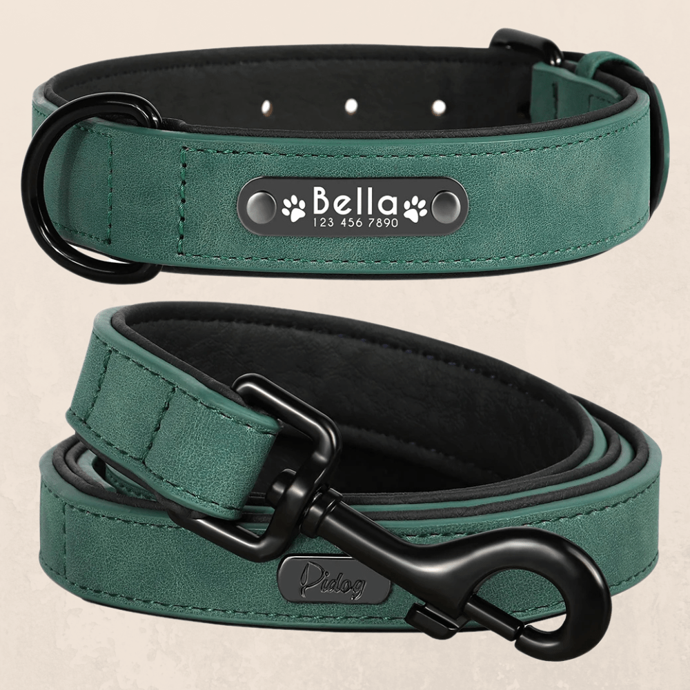 Leder Hundehalsband mit Gravur - Viamilo