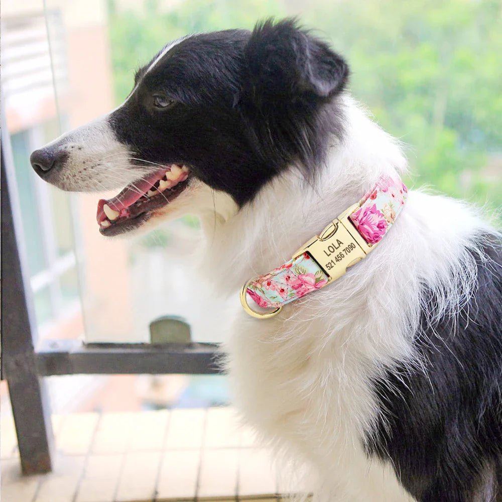Hundehalsband mit Gravur - Viamilo