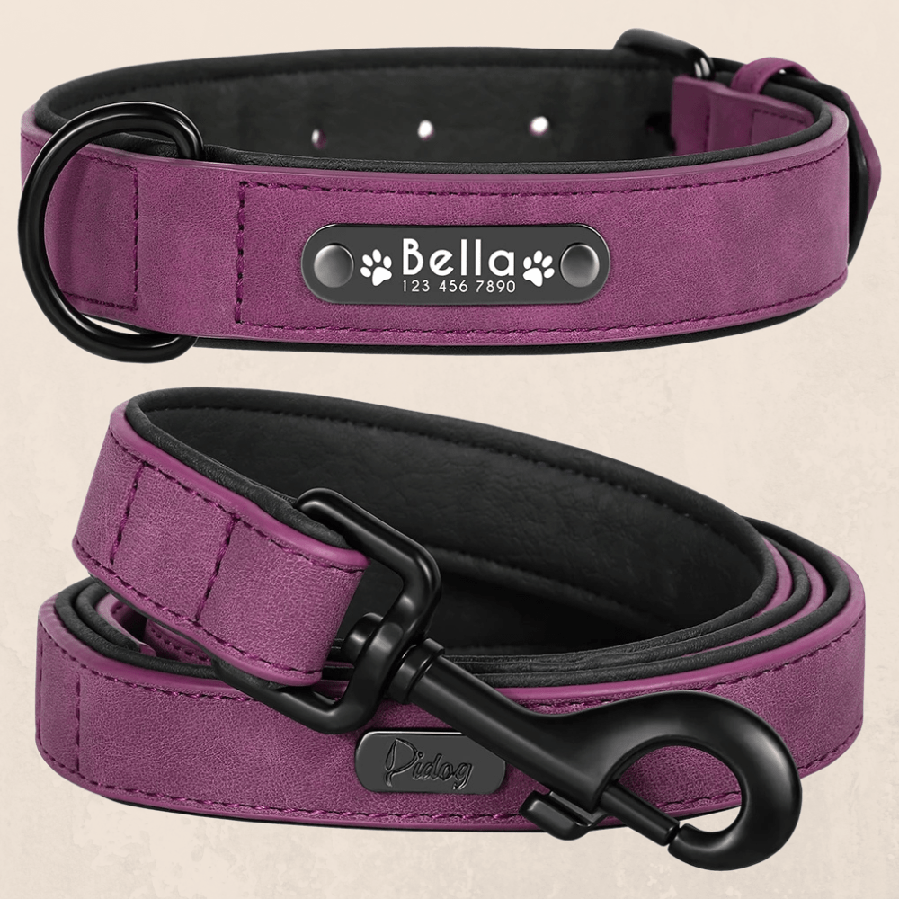 Leder Hundehalsband mit Gravur - Viamilo