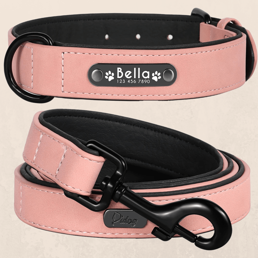 Leder Hundehalsband mit Gravur - Viamilo