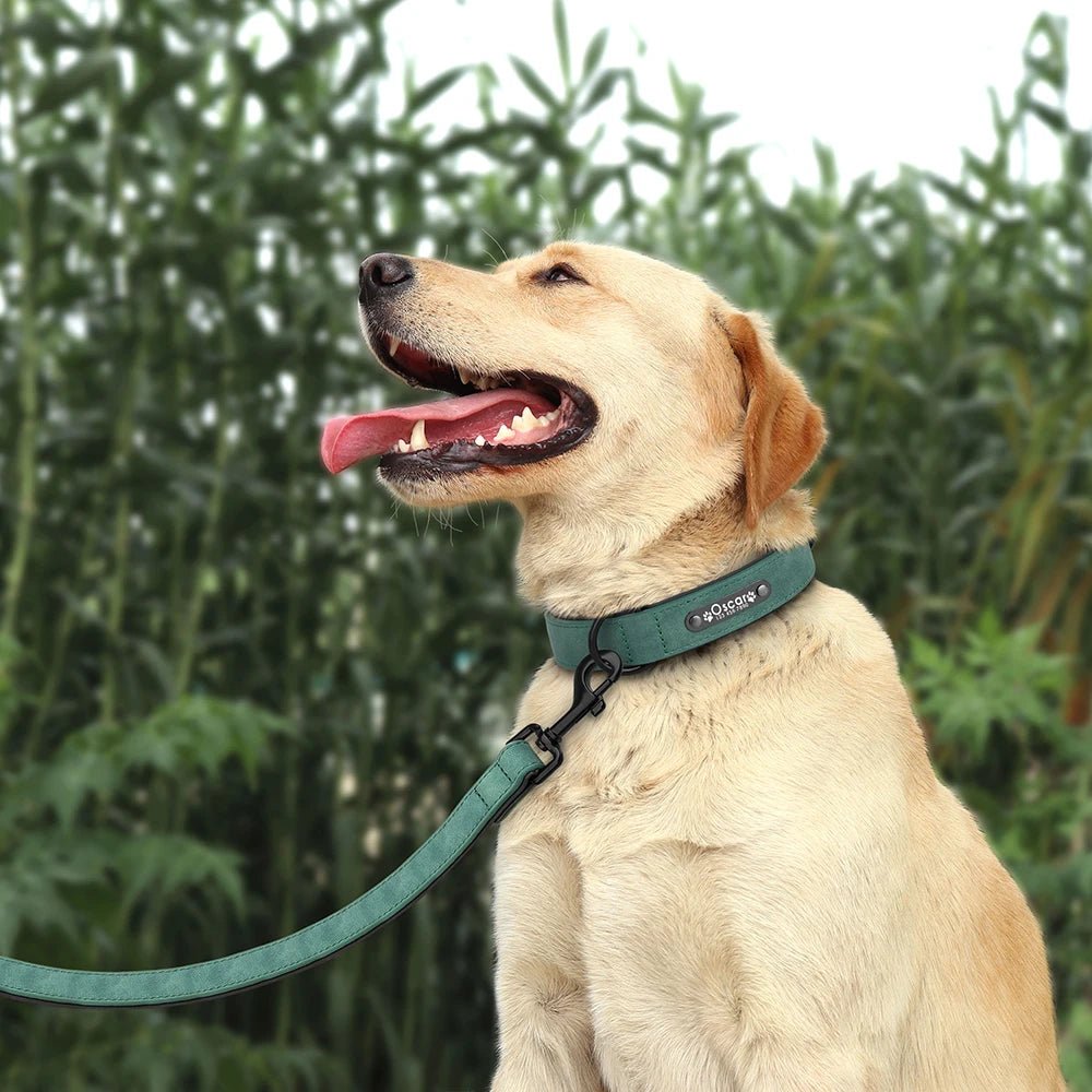 Leder Hundehalsband mit Gravur - Viamilo