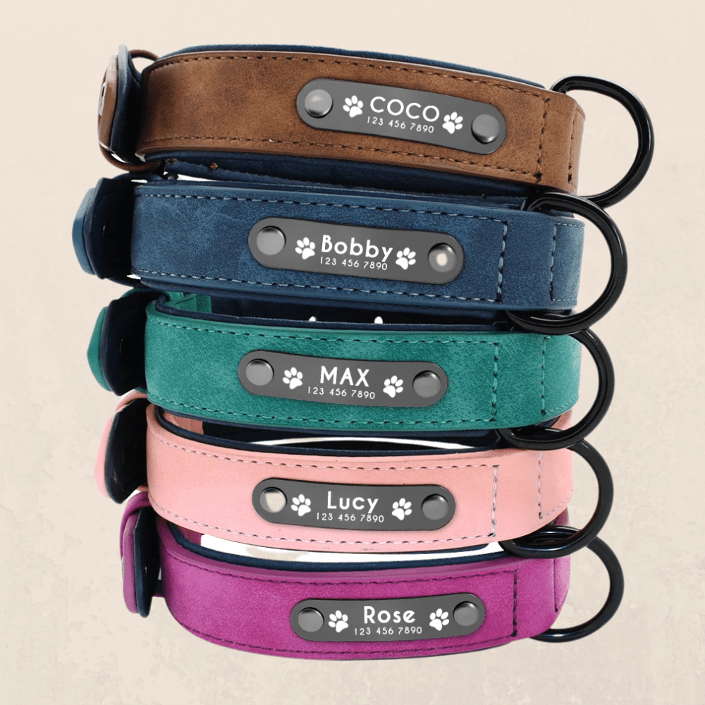 Leder Hundehalsband mit Gravur - Viamilo