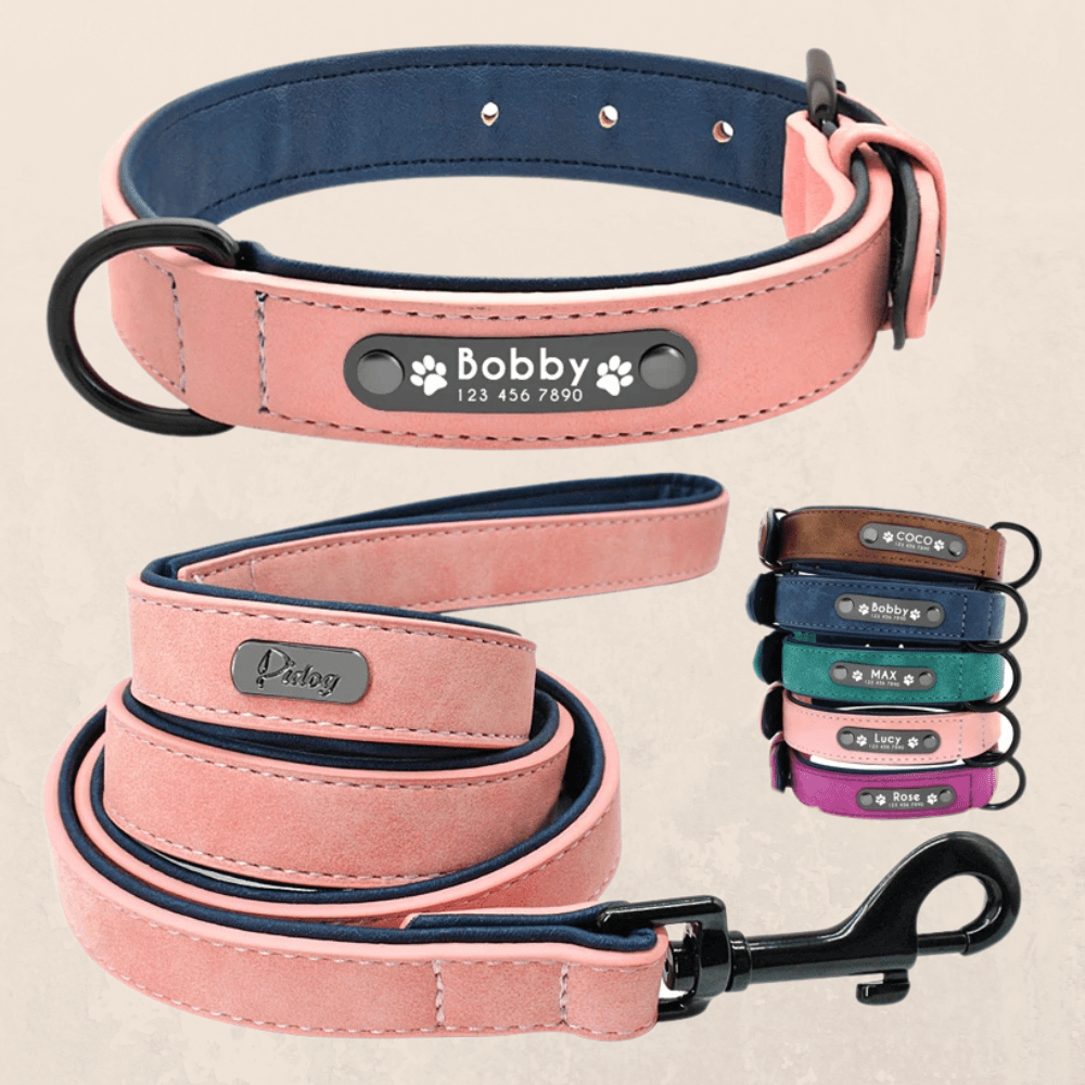 Leder Hundehalsband mit Gravur - Viamilo