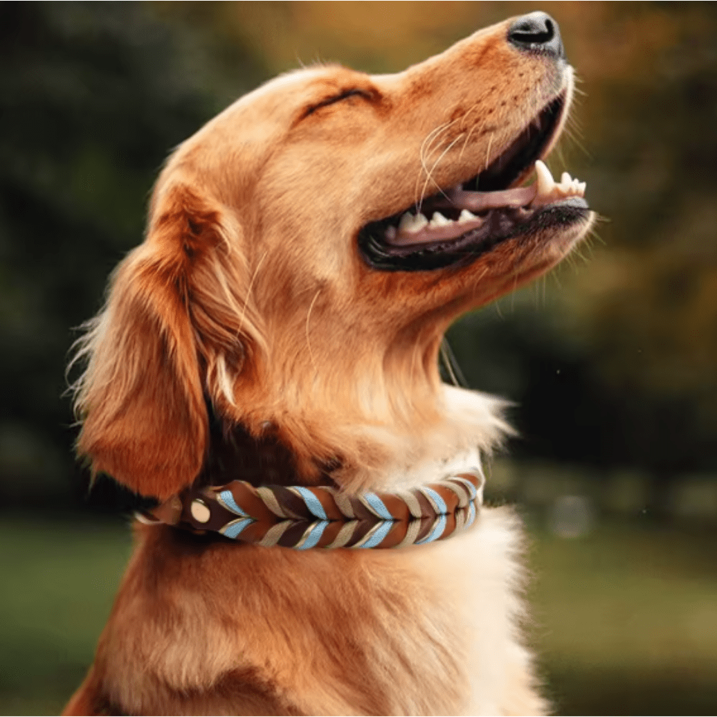 Gewebtes Premium Halsband Wasserdicht - Viamilo