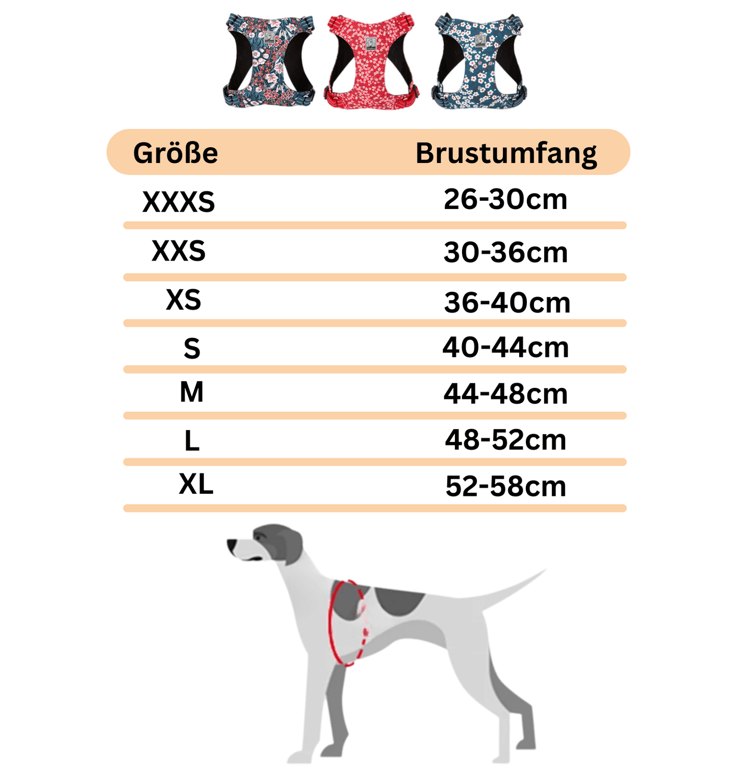 Hundegeschirr "Bello" aus Baumwolle - Viamilo