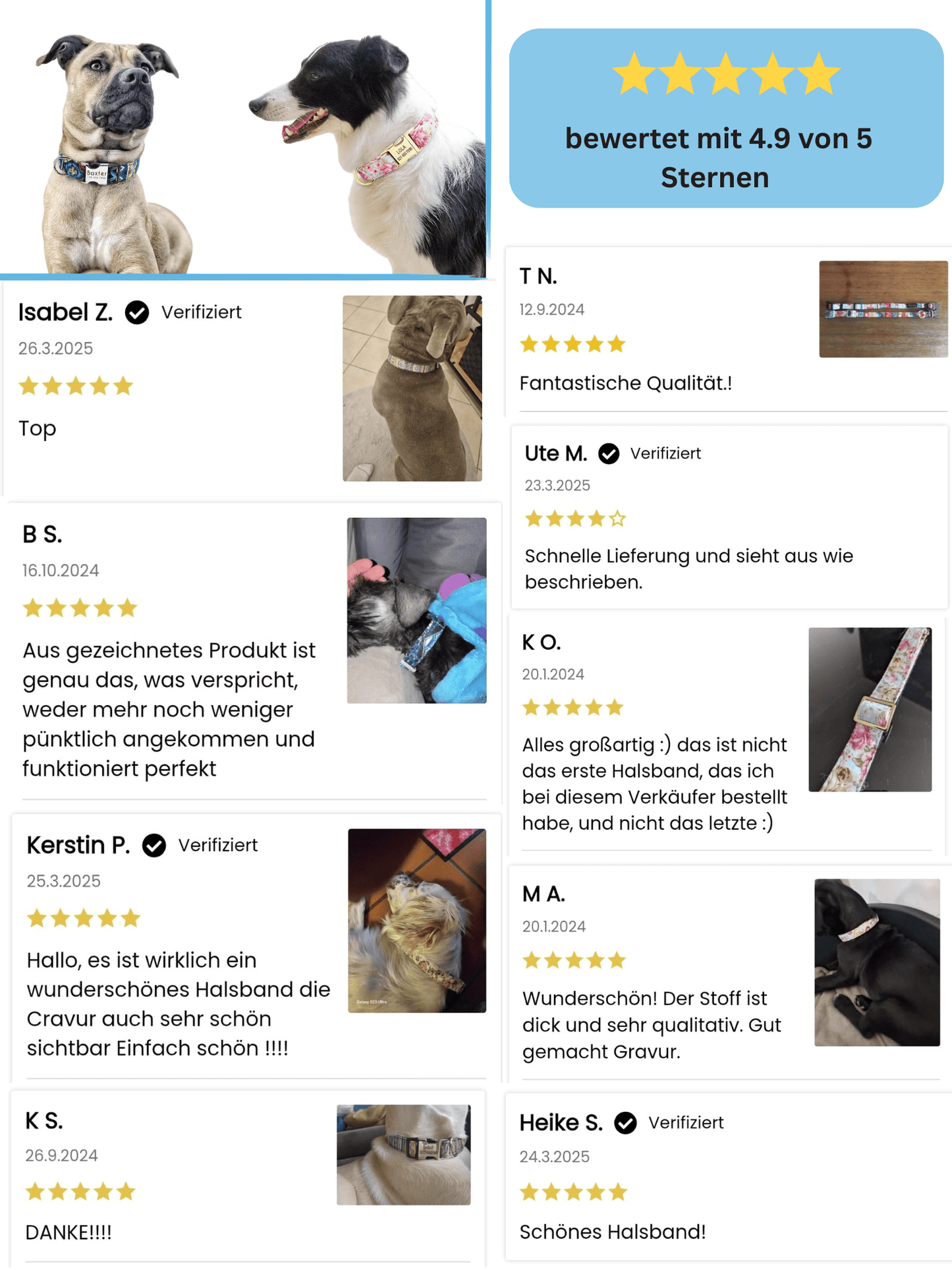 Hundehalsband mit Gravur - Viamilo
