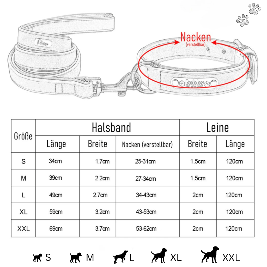Leder Hundehalsband mit Gravur - Viamilo