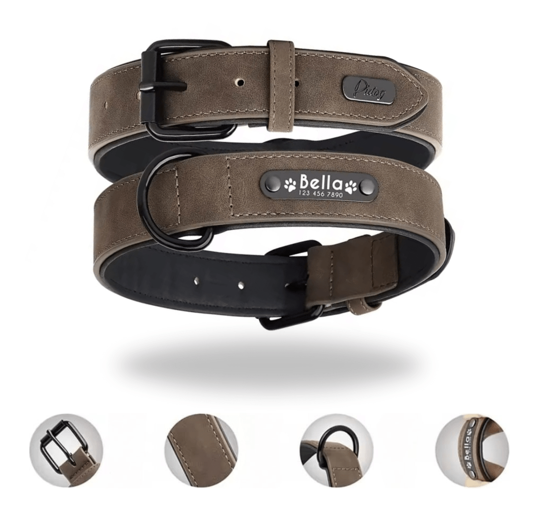 Leder Hundehalsband mit Gravur - Viamilo