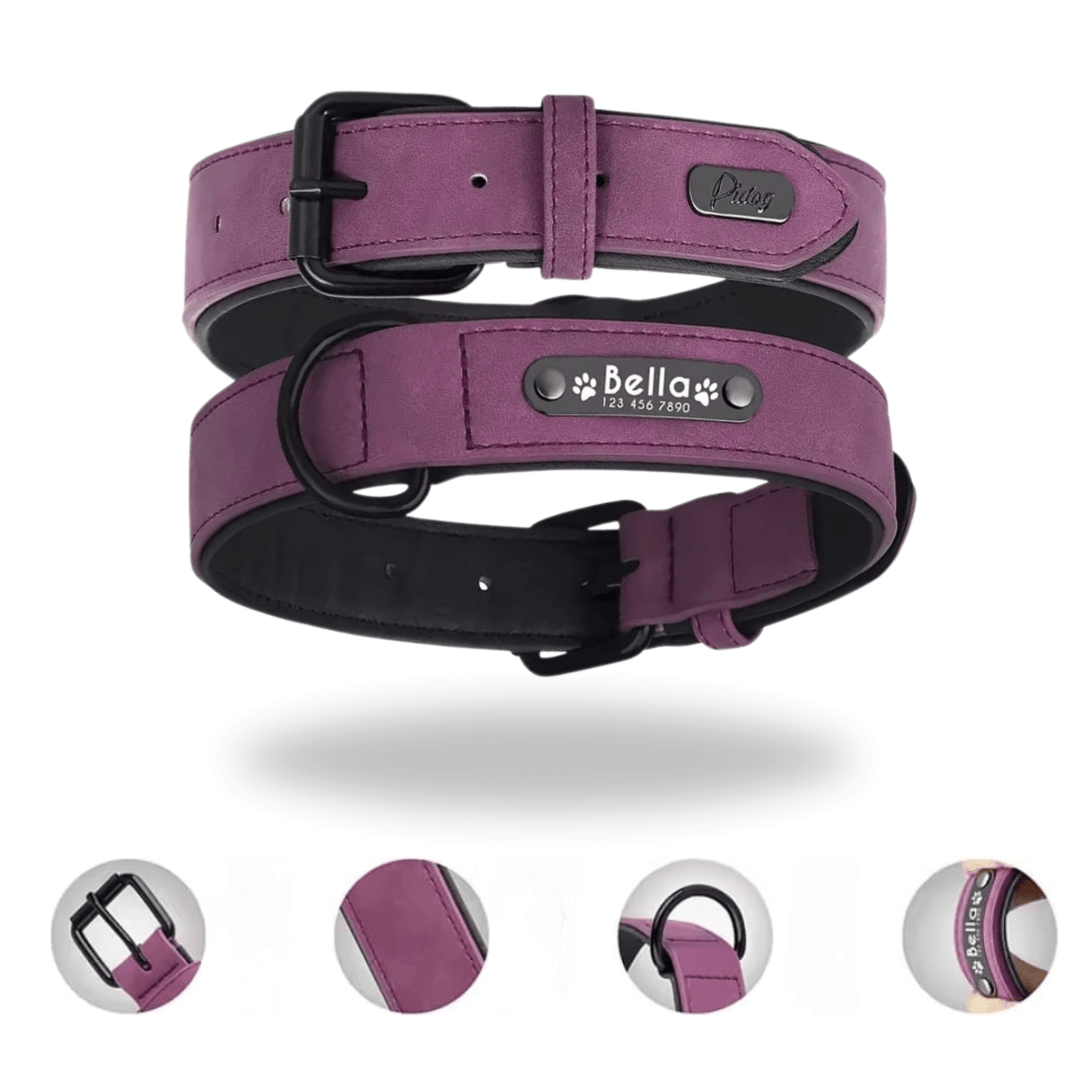 Leder Hundehalsband mit Gravur - Viamilo