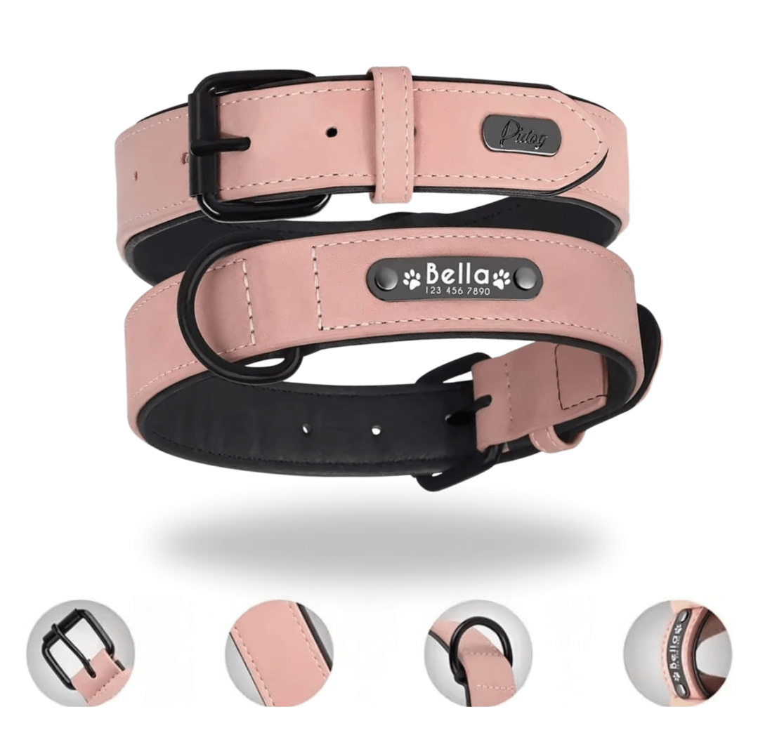 Leder Hundehalsband mit Gravur - Viamilo