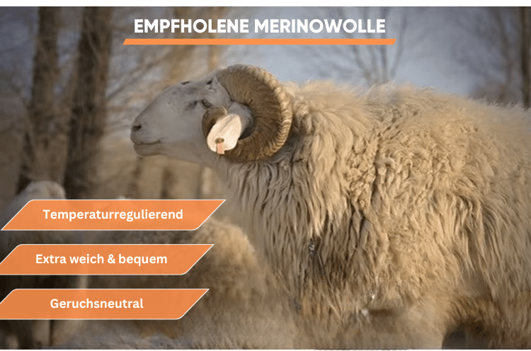 Merino Zip - Kapuzenpullover mit Kängurutasche - Viamilo
