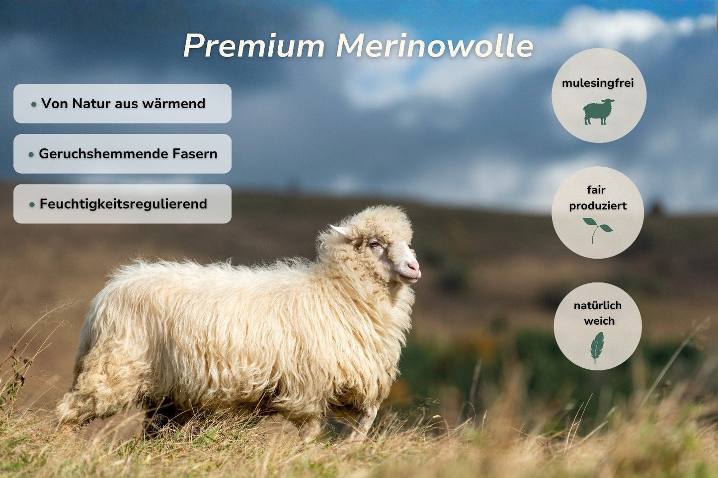 Premium Merino Wandersocken - Viamilo